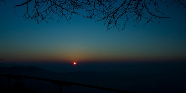 IMG_6702_1