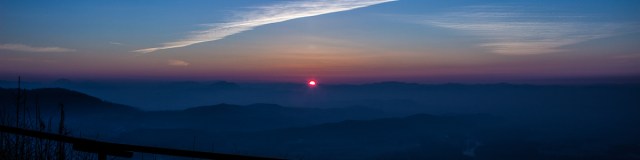 IMG_2841